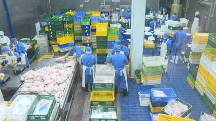 下茆镇 立足区域资源禀赋，精耕家禽销售，做好“土特产”文章