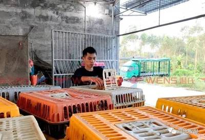 正气人物再现身 家禽销售员与家庭农场管理员背后的不凡故事