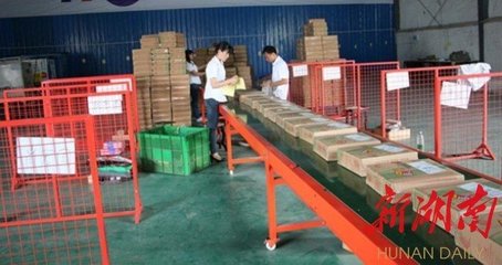 邵阳“土鸡蛋”孵出富民产业链——记湖南娇龙家禽的乡村振兴之路