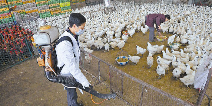 家禽销售不畅，请勿谈“禽”色变——四川省人民政府健康消费倡议