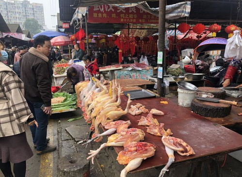 领任务排查布控 多线条全面出击——龙泉驿区市场监管局全力做好新型冠状病毒感染的肺炎疫情防控工作之家禽销售篇