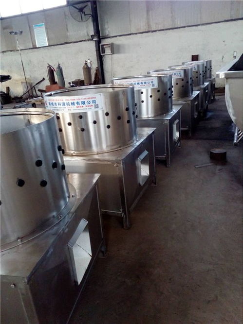 诸城科源机械在线咨询 甘肃家禽打爪机销售与家禽销售解决方案