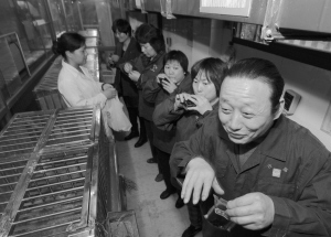 杭州半数农贸市场关闭家禽区，家禽销售模式迎来转型